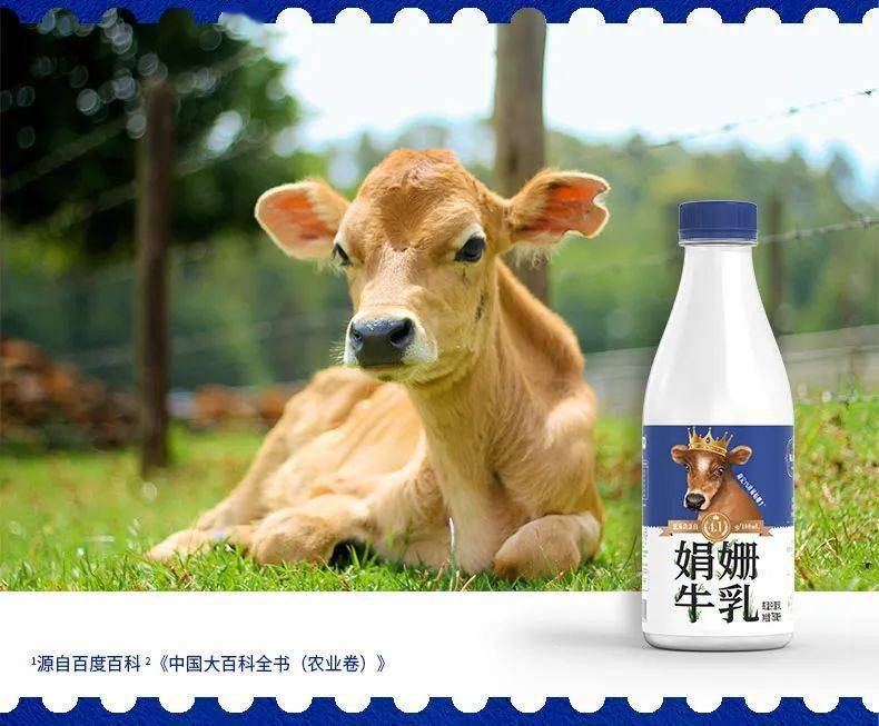 新品上市 | 皇室同款的娟姗牛奶,你值得拥有