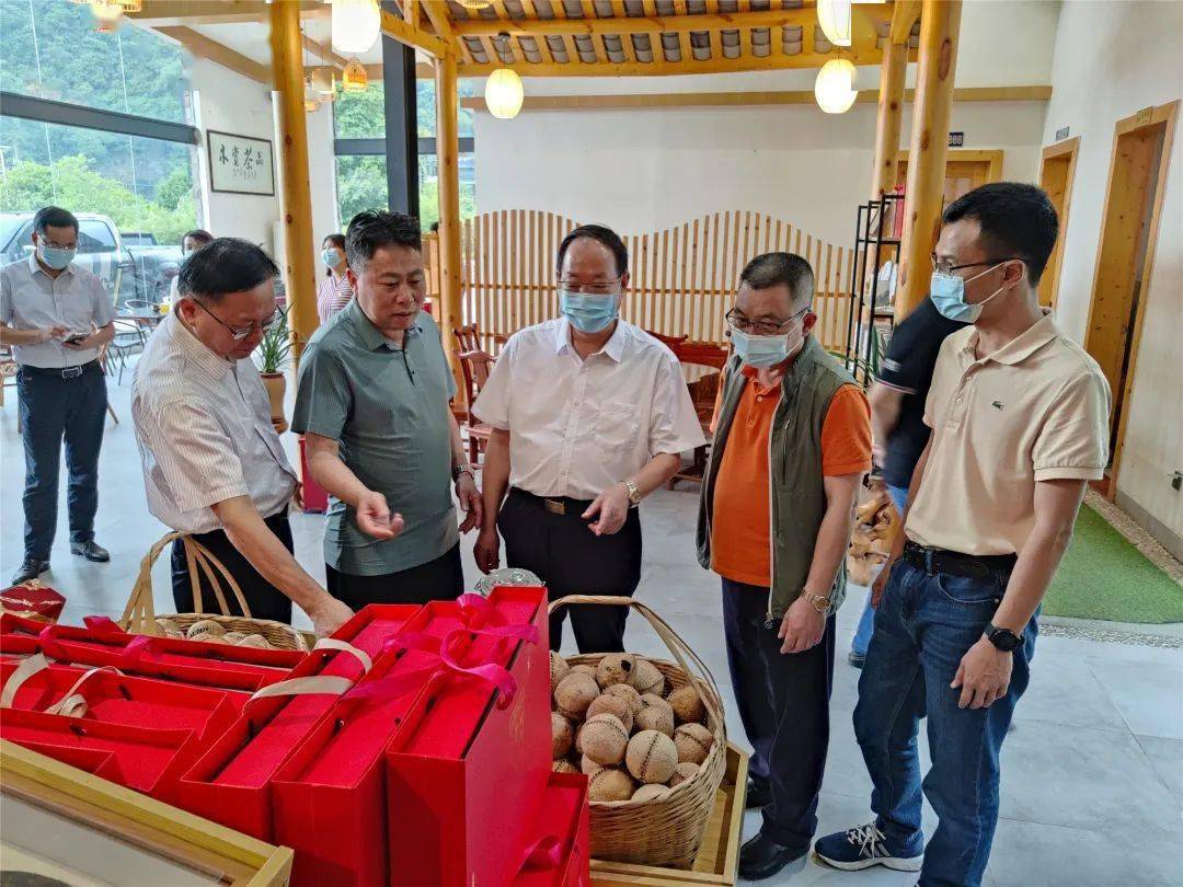 会后,调研组先后前往清新区,英德市,连山,阳山县,实地察看巩固拓展