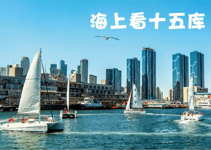 特惠东港帆船出海喂海鸥海上看大连