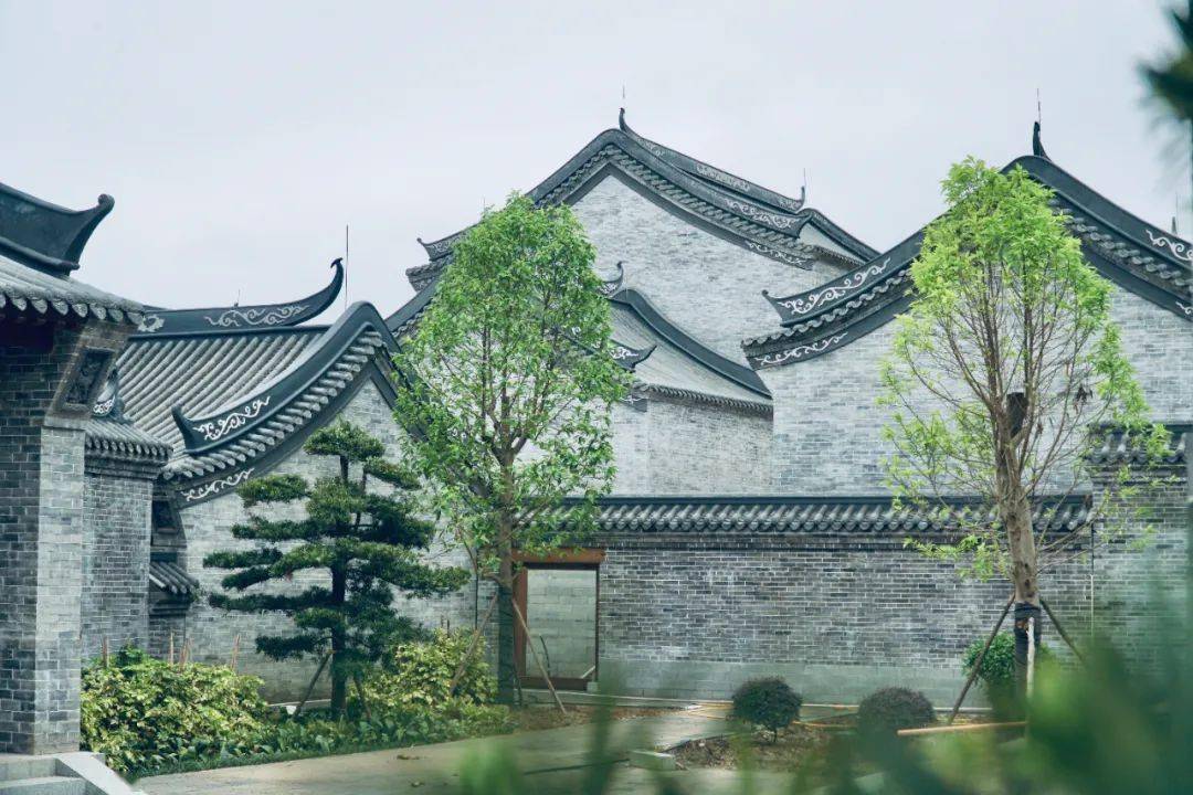 梧州流量王三总府邀创logoip宣传口号一等奖8000元