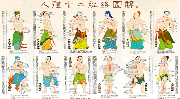 经络学说应与中医藏象学说相联系