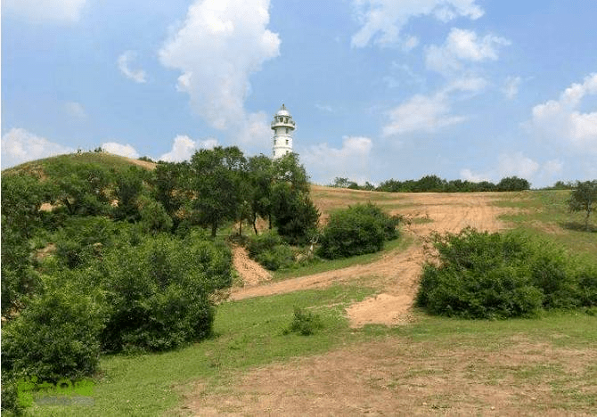 野菜_婆婆_马鞍山