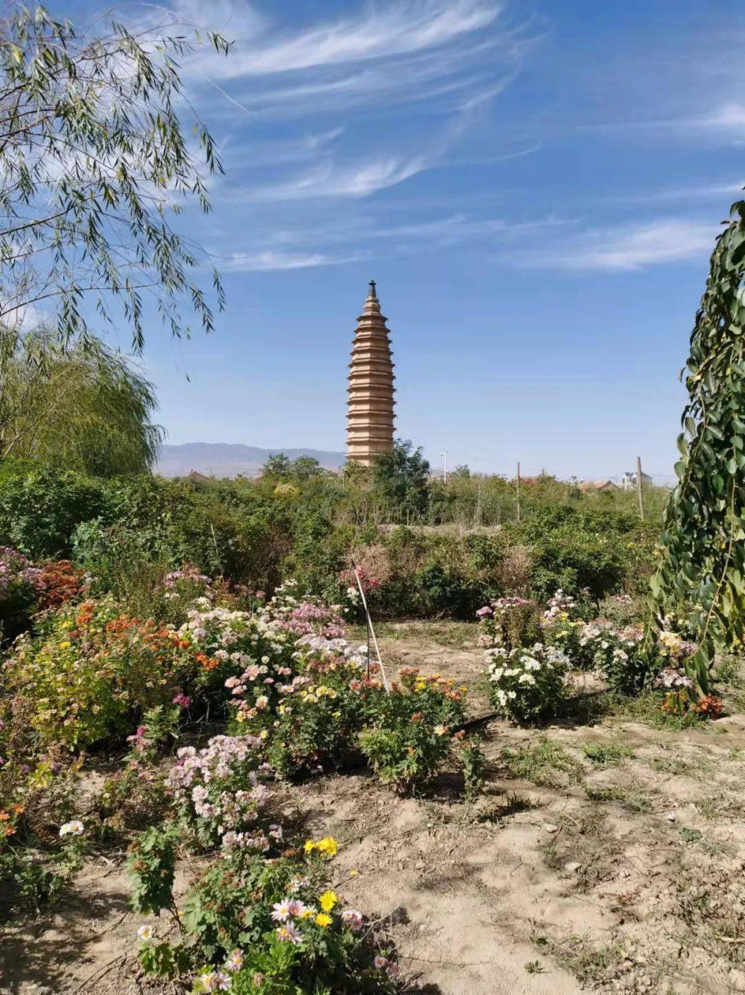 康济寺塔是第七批全国重点文物保护单位,位于同心县韦州镇古城内,始建