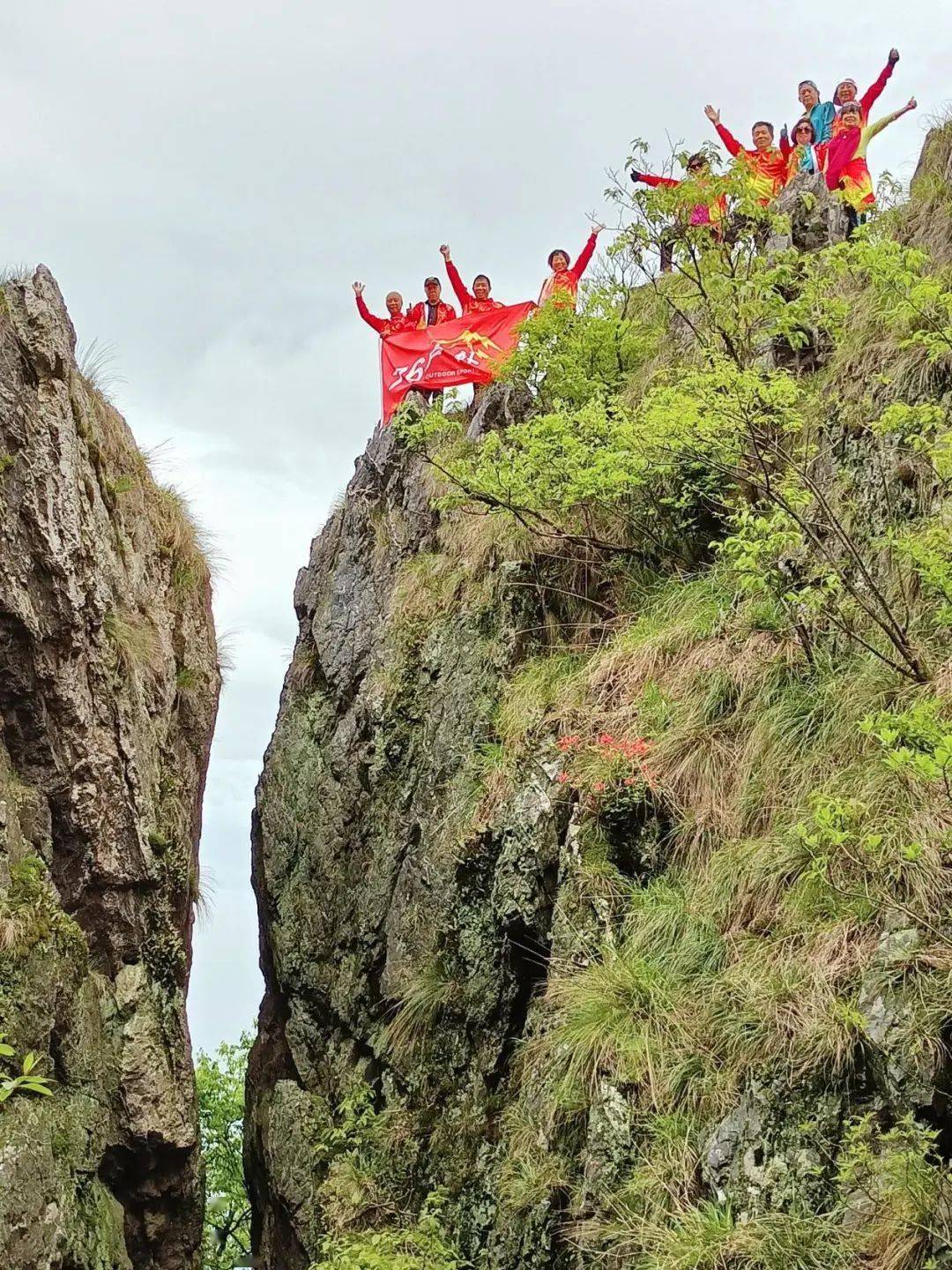 黄高峰杜鹃图片