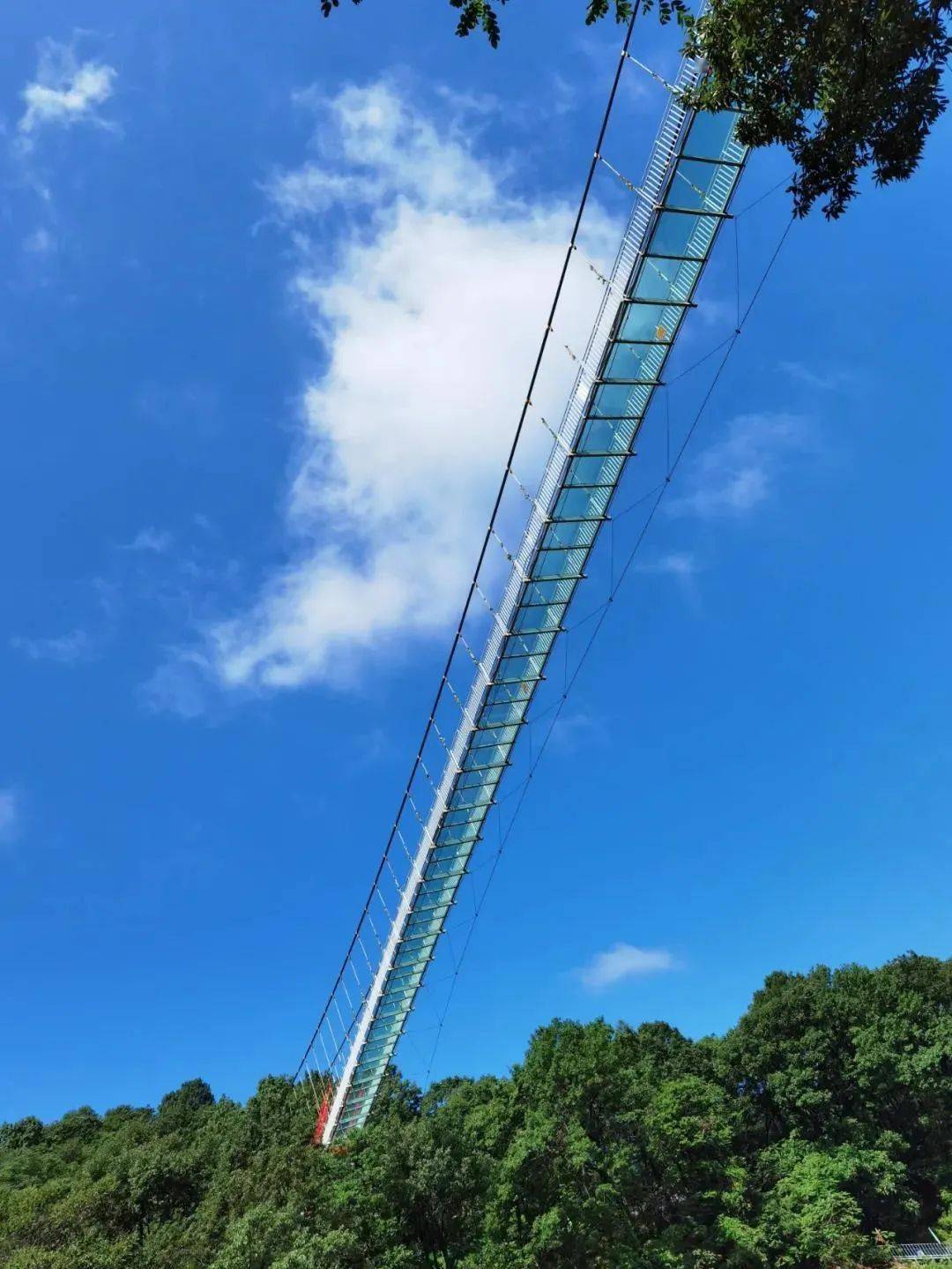 金顶山风景区五一出行低至169元抢金顶山风景区门票