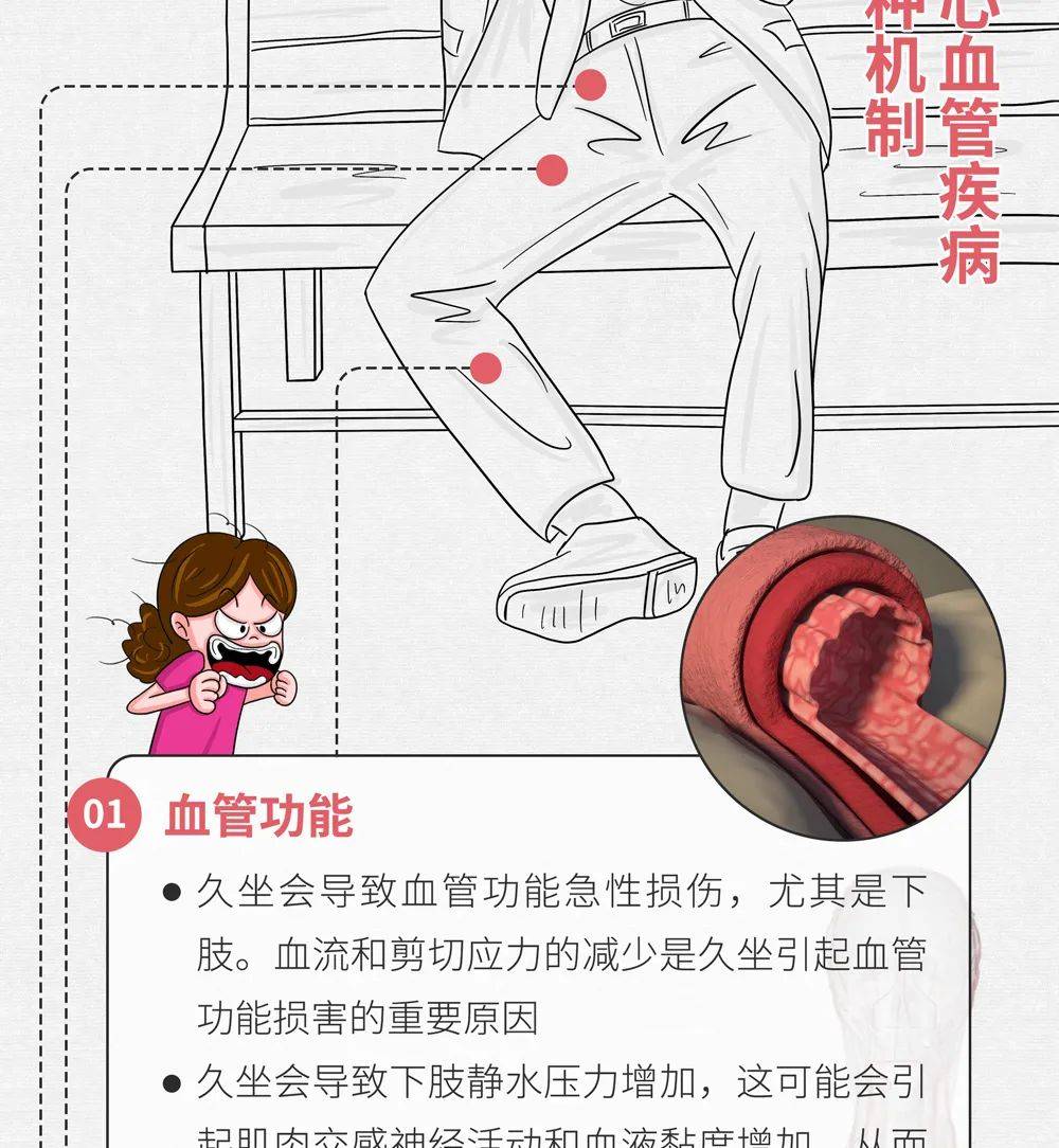 肠画短说:久坐,如何搞坏你的心血管
