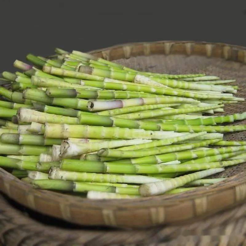 庐山人这个小竹笋丛生的季节你去拔过小笋吗