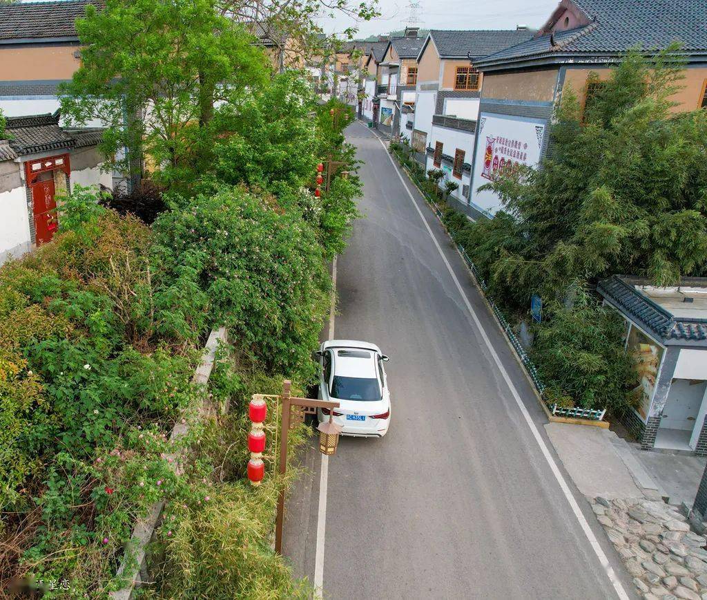 汉王紫山村几颗樱桃叶底红