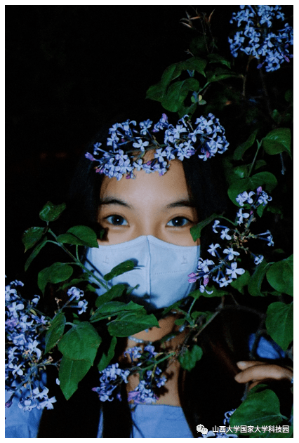 李雪枫写给四月战疫的山西大学