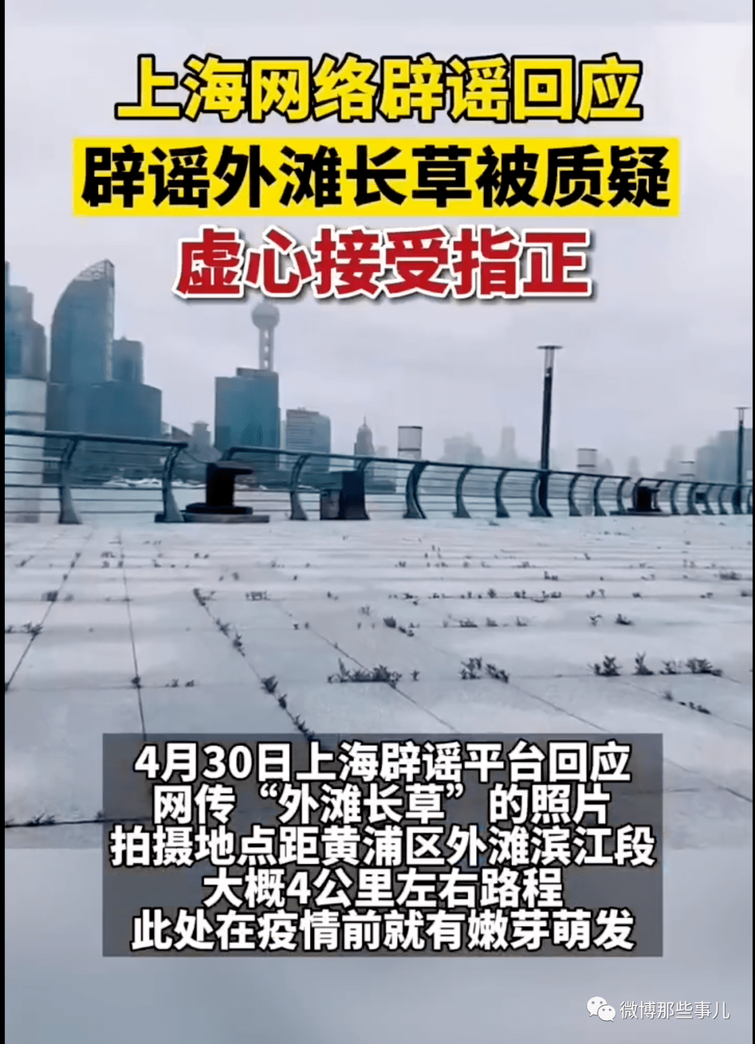 网友拍到上海外滩长草了，上海辟谣：没长！网友再辟谣：长了！