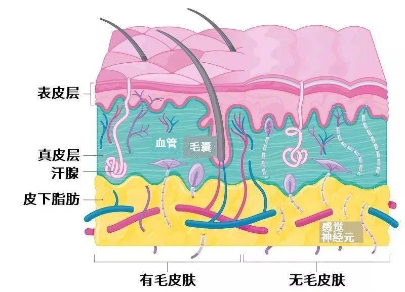 皮肤刺痛如何预防和消除这种刺痛感