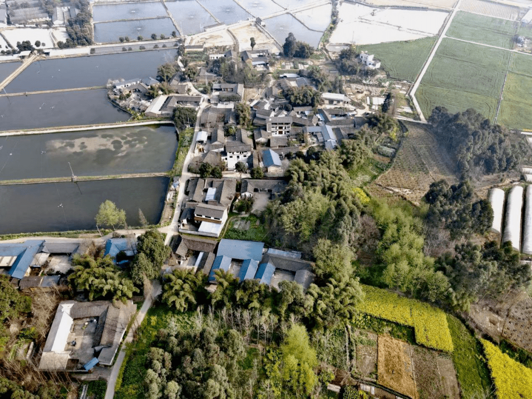 6,邛崍市羊安湯營現代農業園區項目項目概述:項目位於國家級稻漁綜合