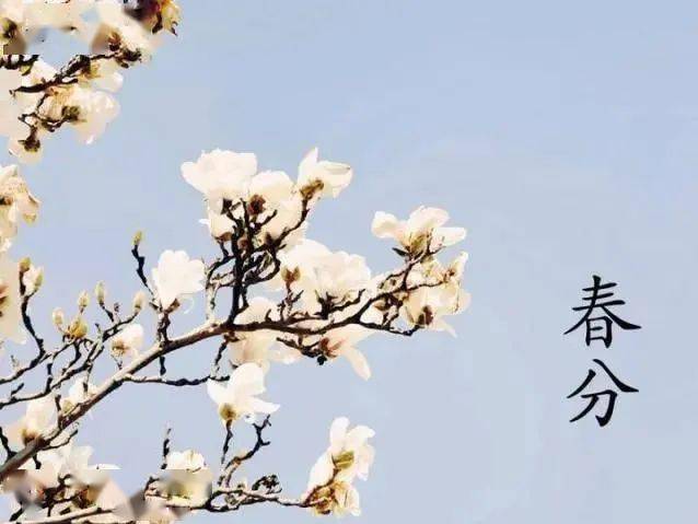 9首春分詩詞帶你覽盡美好春光