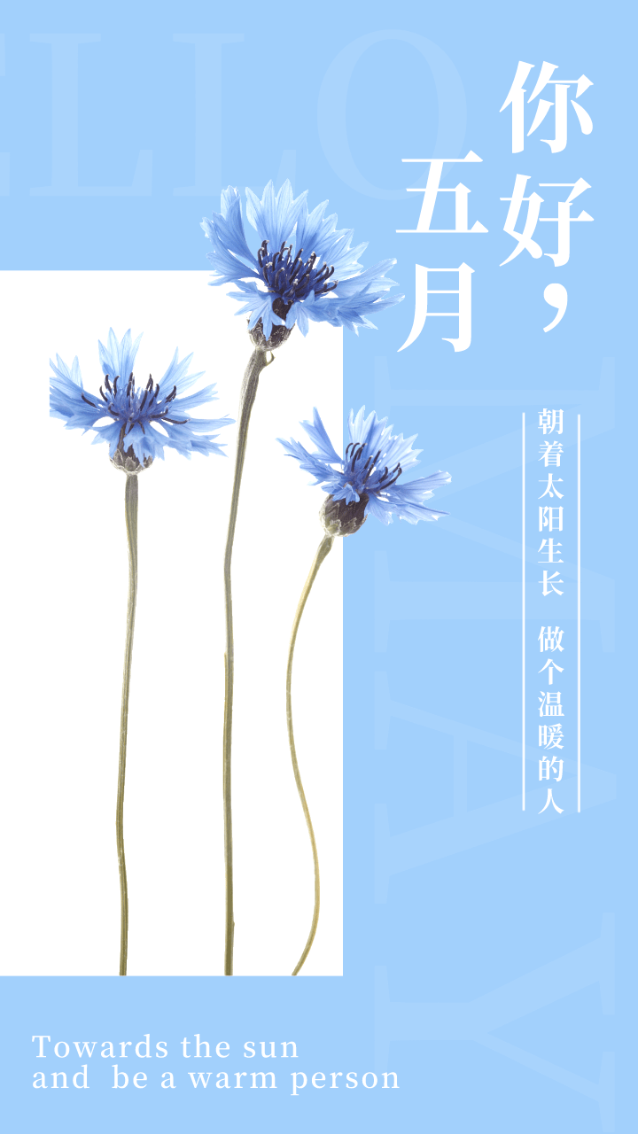 拥抱五月 五月你好 春天的烂漫在四月的尾声消散 初夏的温柔在五月将至 那只鸟 连新蝉 太阳 拥抱五月 五月你好 春天的烂漫在四月的尾声消散 初夏的温柔在五月将至 那只鸟 连新蝉 太阳