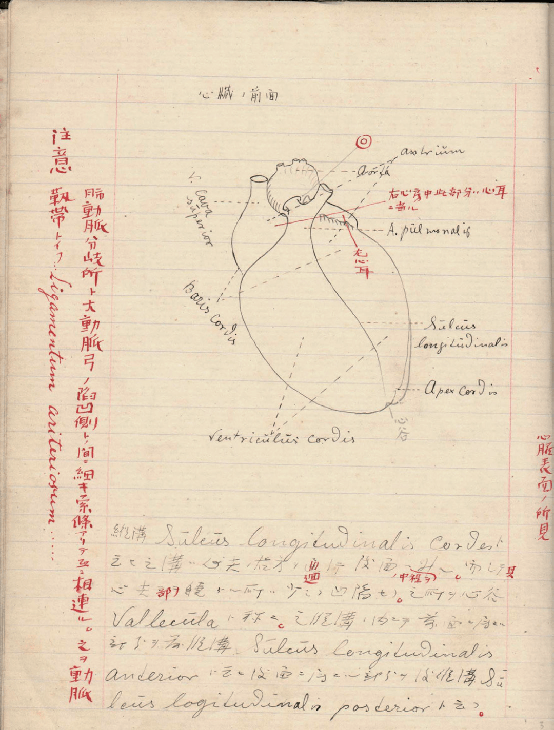 藤野先生书签图片