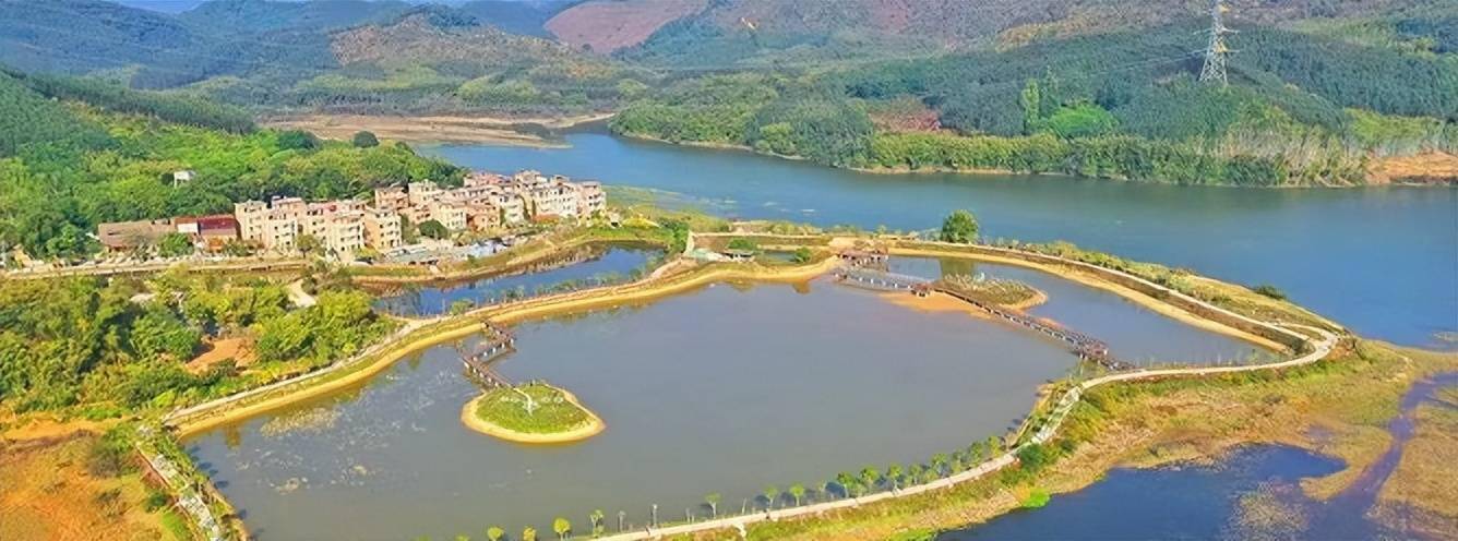 拥有13栋91间环境优美,富有特色的主题民宿客房,坐拥100亩的湿地公园