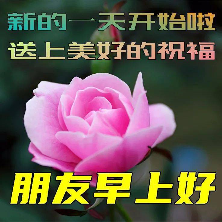 5月2日最新早上好动态表情图片大全春天早上好问候语句子