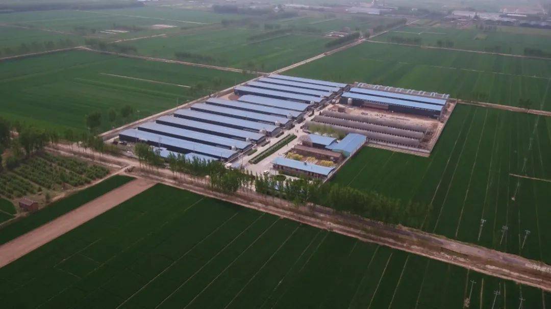 他是怎么做到的?