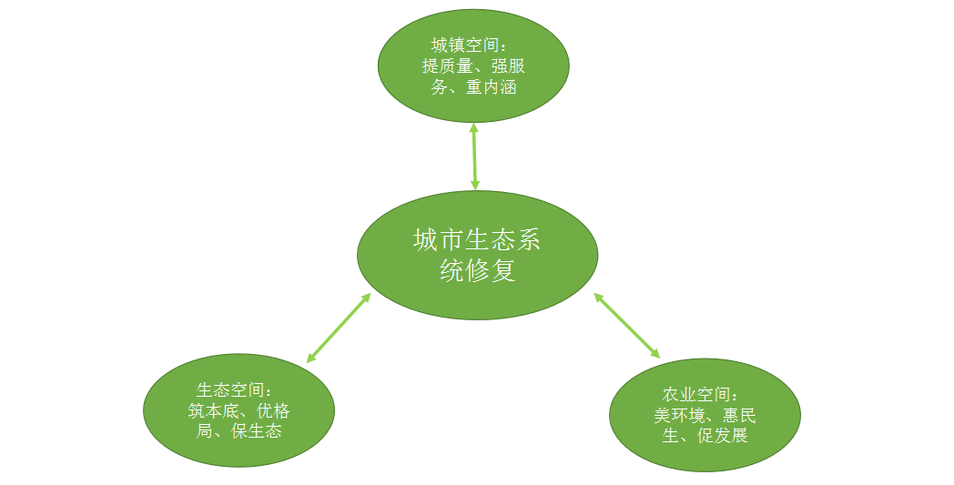 城市生态系统修复之路,如何走下去?