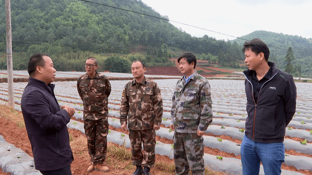 张鹏程一行先后深入龙朋镇老石冲村,白古村,哨冲镇黄草坝村,小海科村