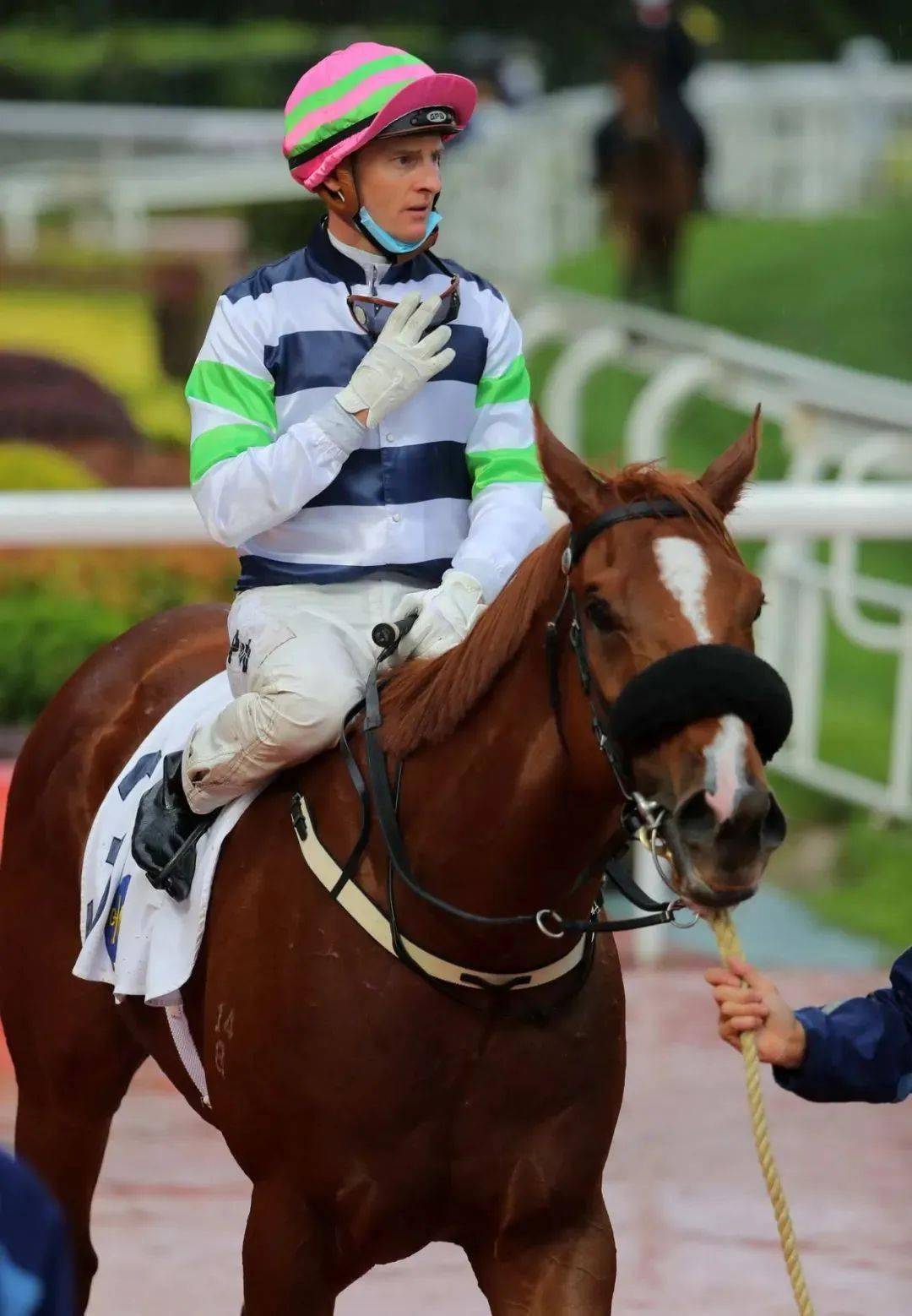 赛马多匹三岁新星崭露头角