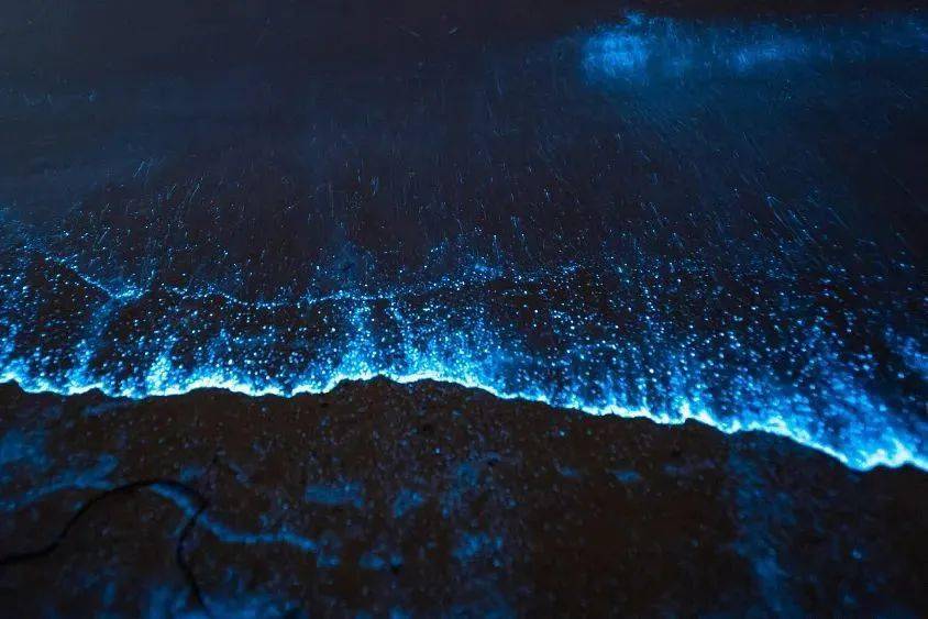 新闻福建平潭现绝美蓝眼泪景观美到窒息