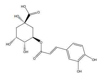 乾貨金銀花抗菌防疫功效