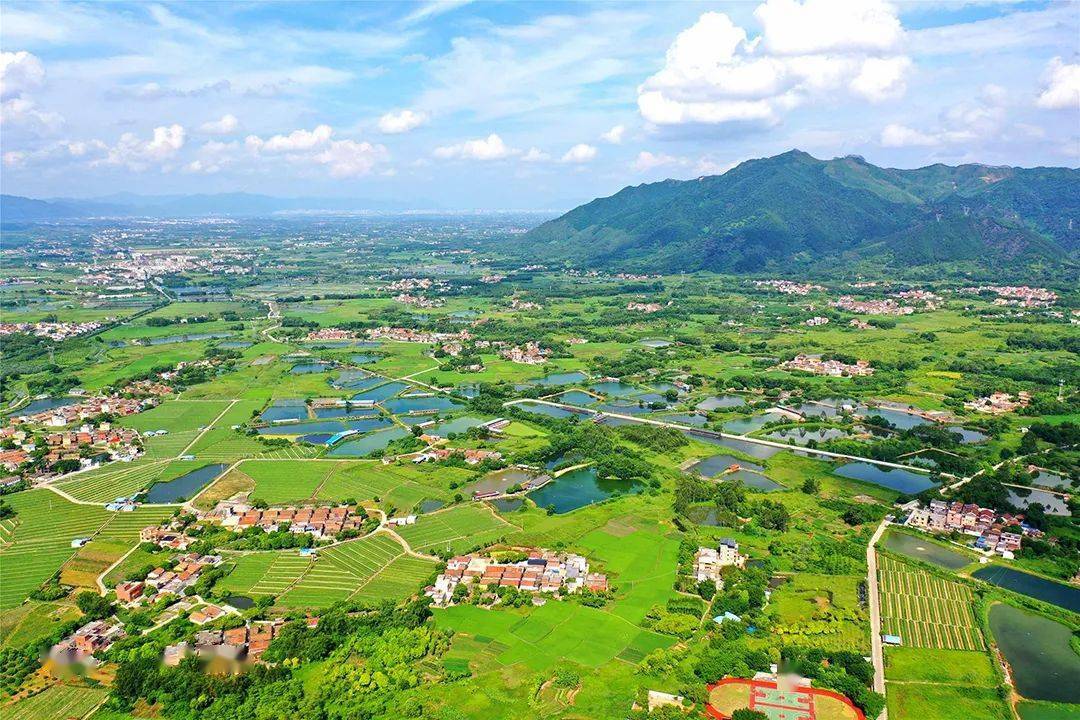 绿化_四会市_威整镇