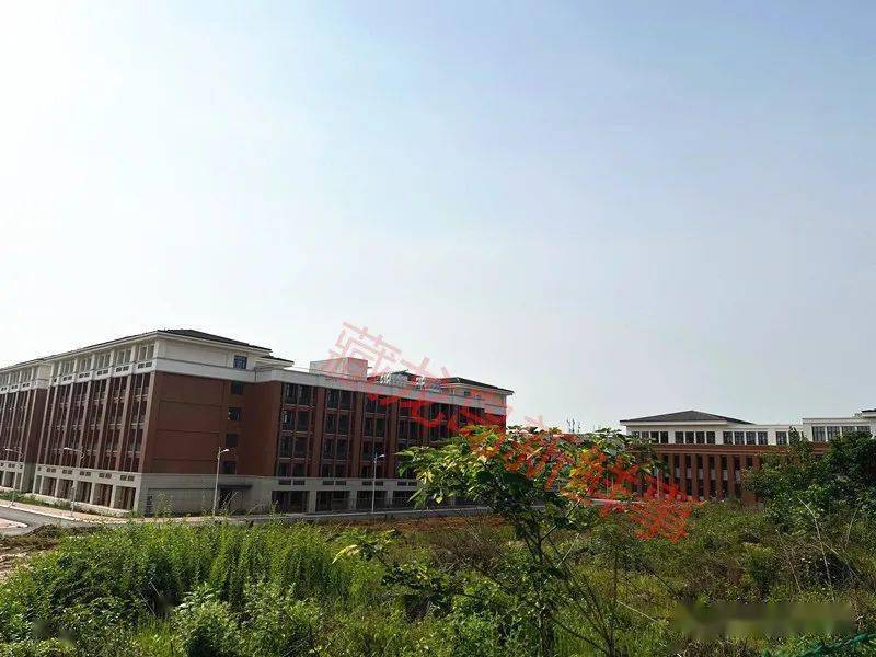 江夏藏龙岛将再添一所大学独家实拍最新进展