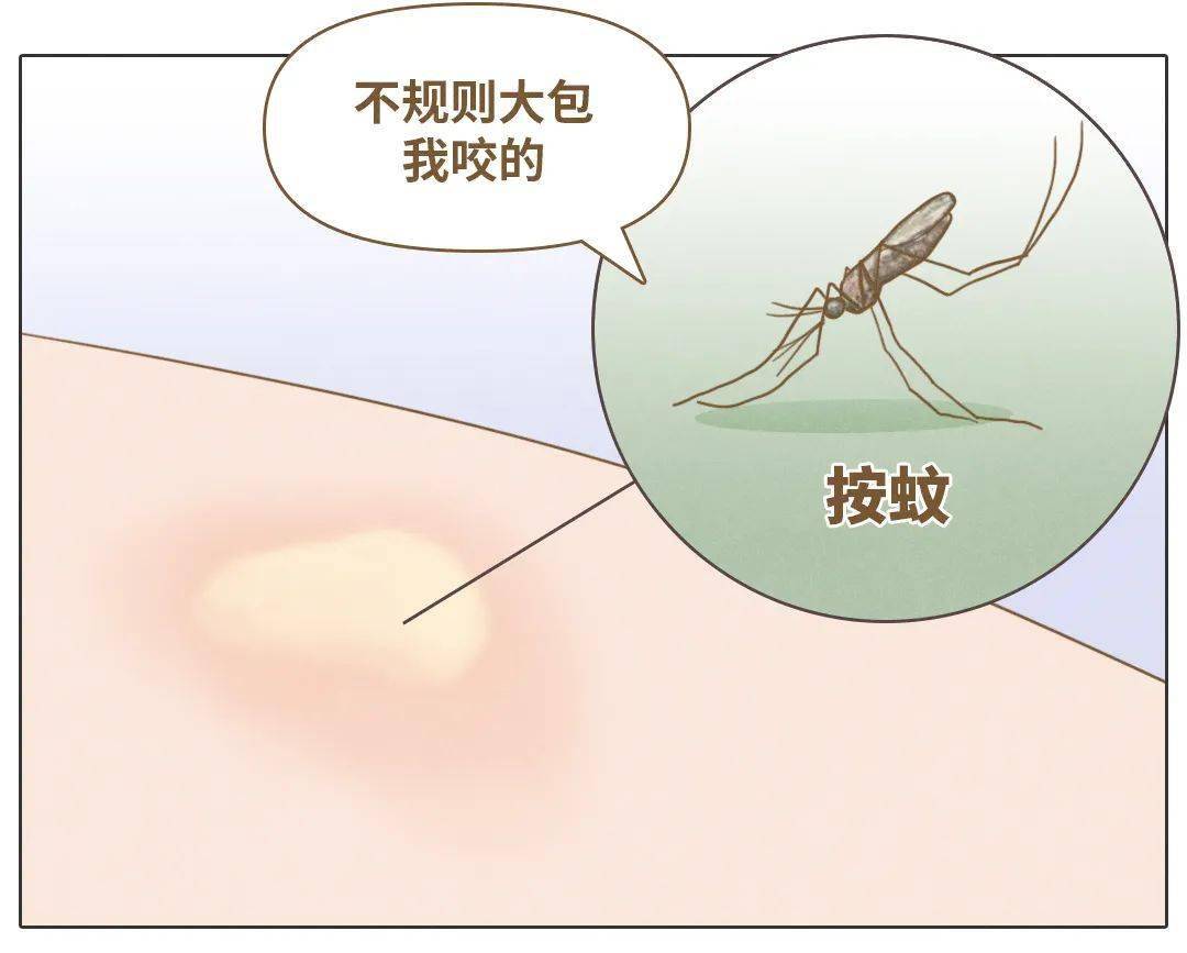 且吸血量較大,所以叮咬後常常會痛到想罵人……伊蚊,又名「花蚊子」