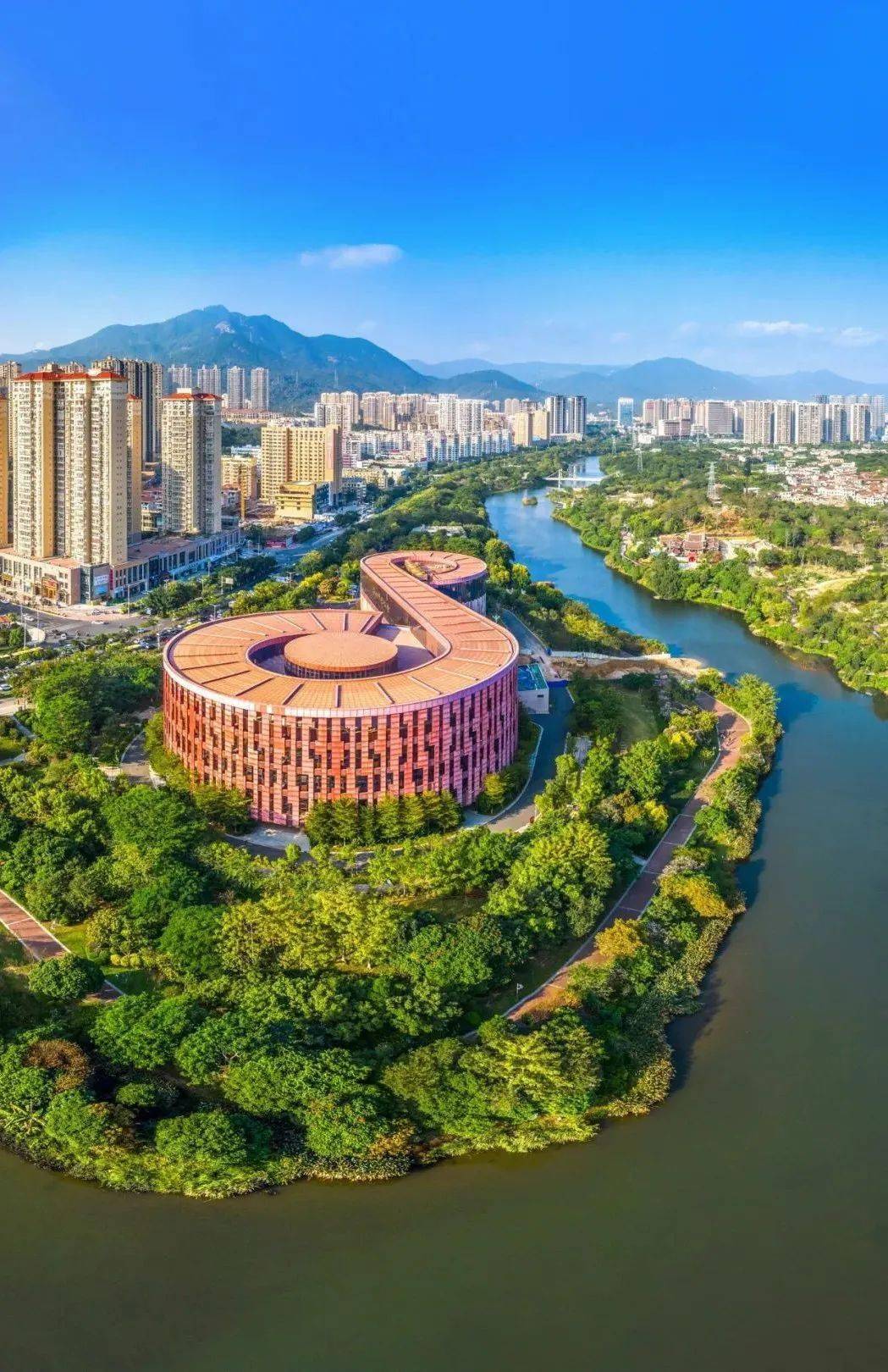 这就是莆田莆田荔枝千年荔树千年荔城