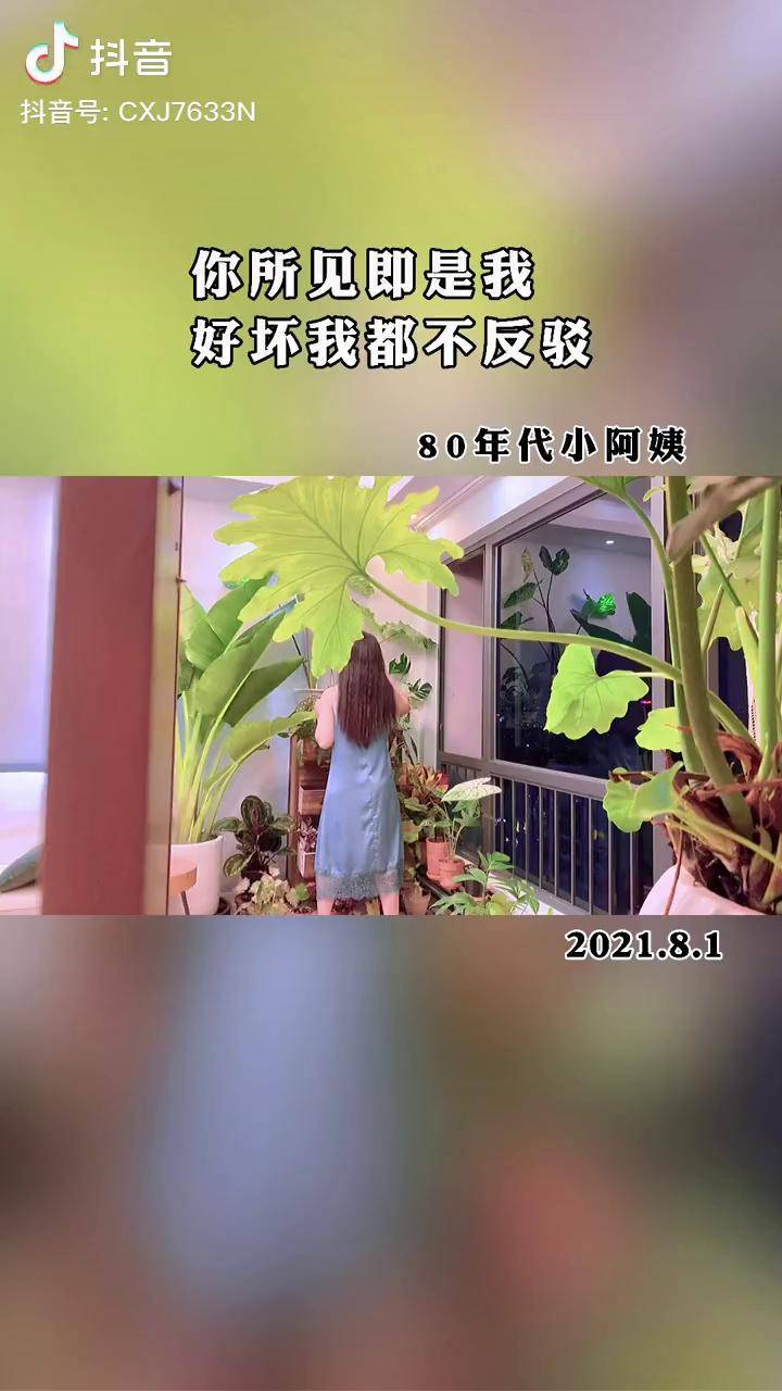 你所見即是我好壞是非都不反駁畢竟除了讓自己心堵毫無意義vlog日常