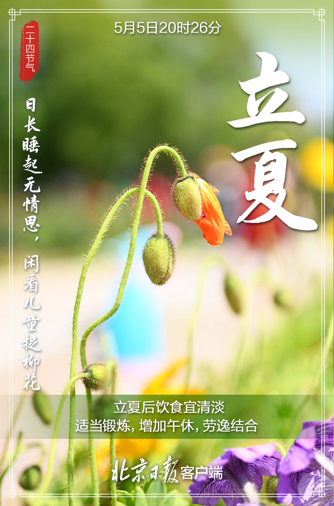 今日立夏万物繁茂迎夏来北京5月底进入真正的夏季