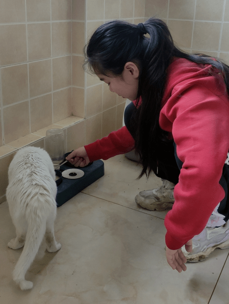 家里的小动物是孩子们最好的朋友,那可不得照顾好朋友们的饮食起居吗?