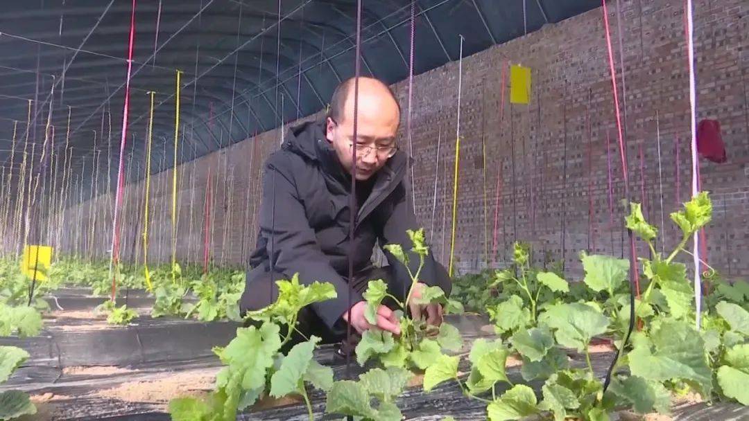 石涛 开好生态循环农业的 火车头 种养 延安 家庭农场