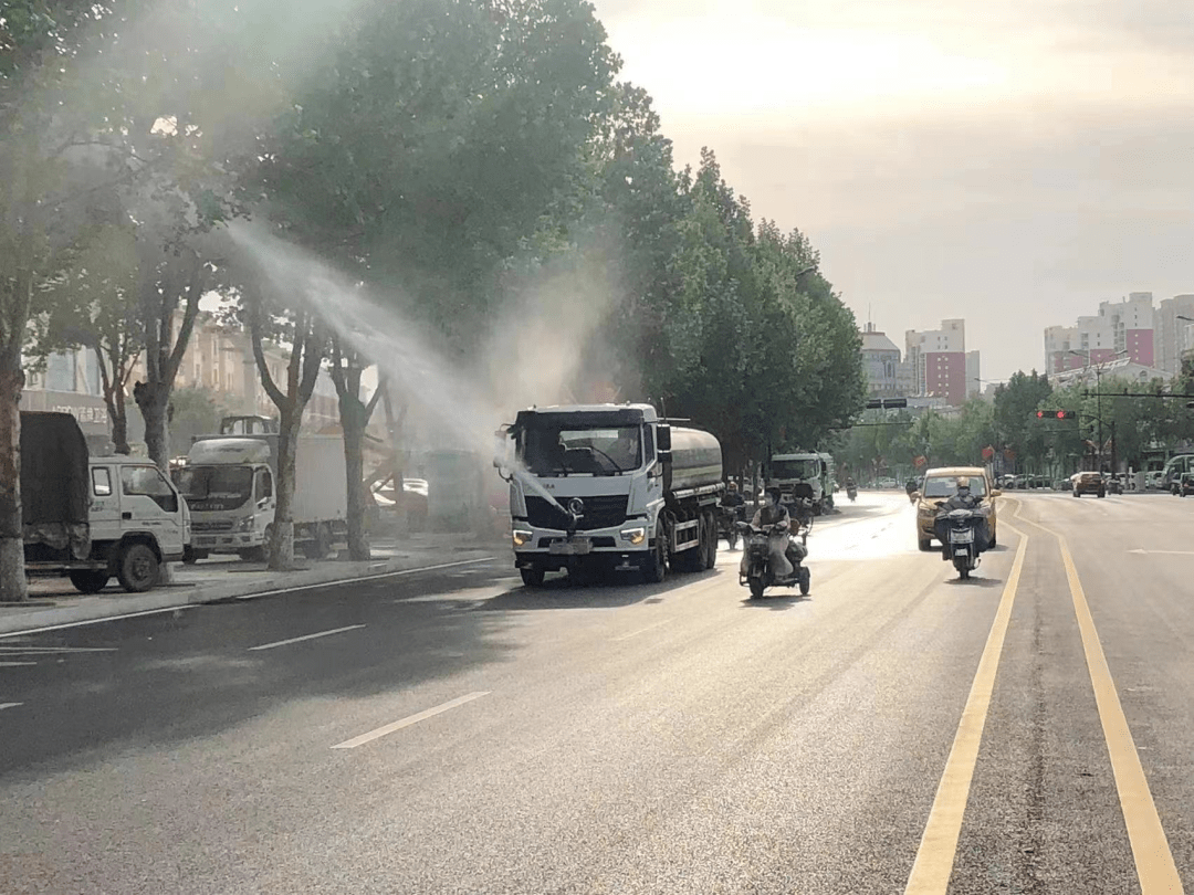 【一线动态】治理杨柳飞絮 共创宜居环境_柳絮_洒水_火灾