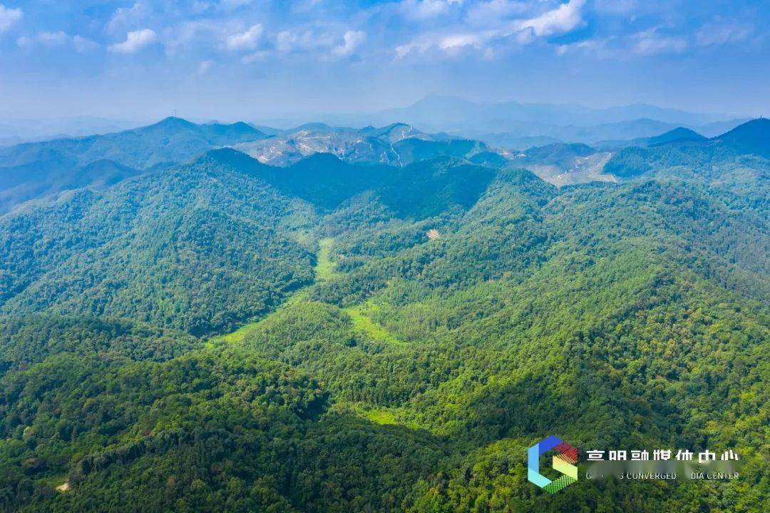 高明云勇林场旅游景点图片