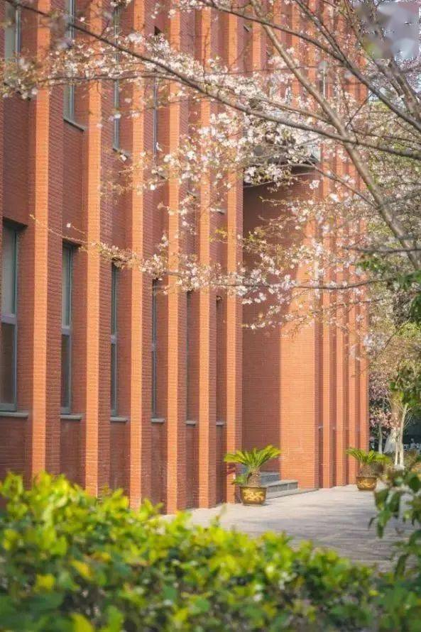 图片来源:南大青年公众号在这天朗气清的时节,梦川中涟漪荡漾,绿茵上