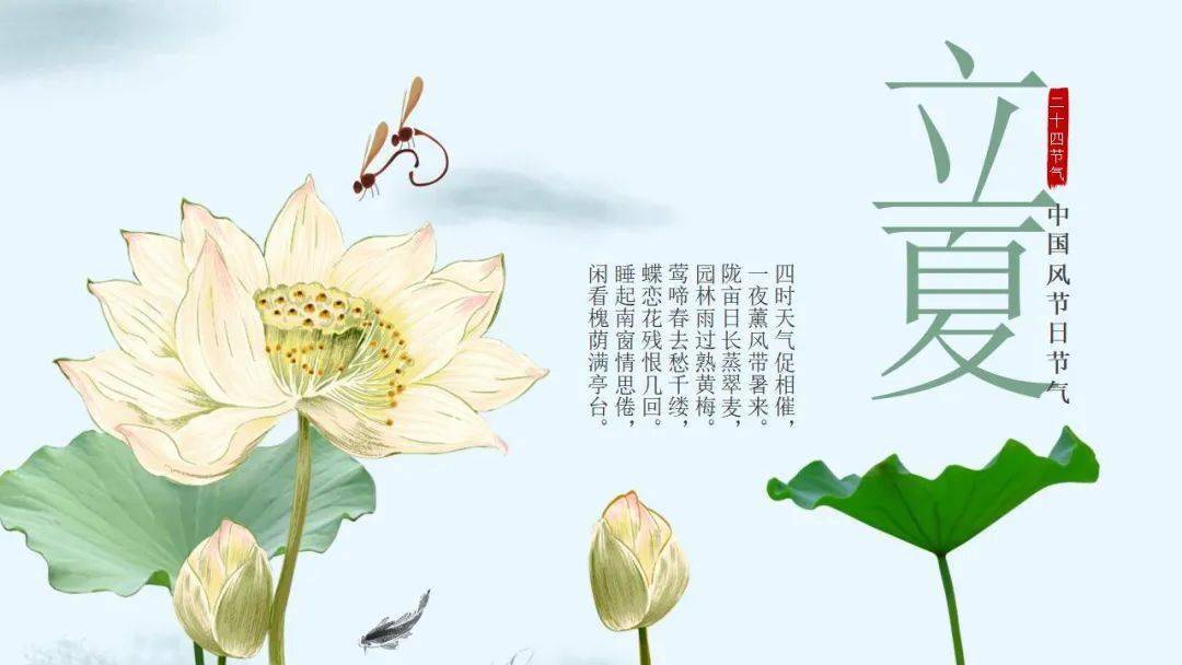 凉爽惬意的夏天,我的思念化作祝福的清泉,带你清清凉,舒舒爽,立夏时节