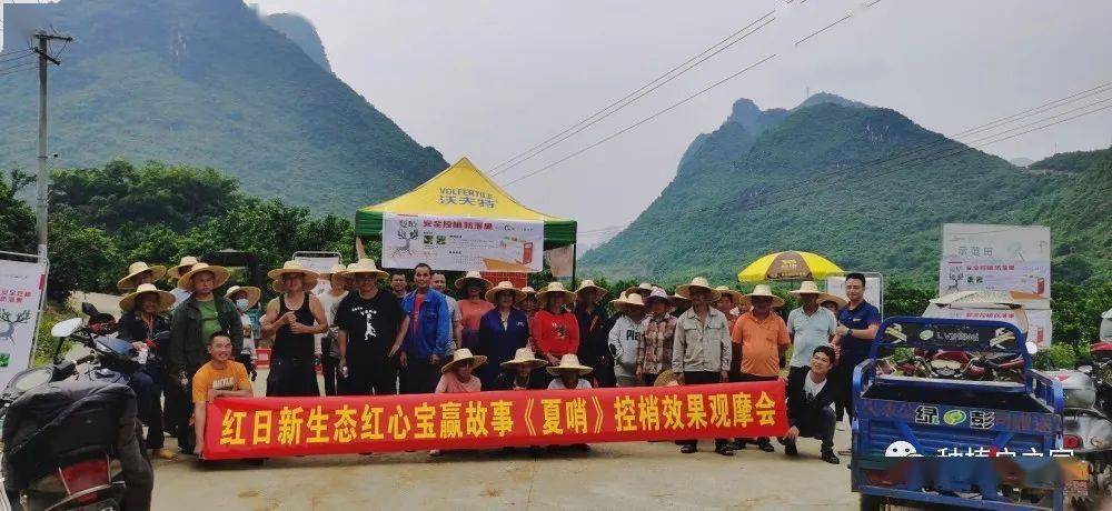 太吸睛了 这场夏哨效果观摩会亮点纷呈 夏梢 种植户 红心 太吸睛了 这场夏哨效果观摩会亮点纷呈 夏梢 种植户 红心