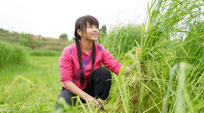 建团百年青年说建团百年农村青年风华正茂