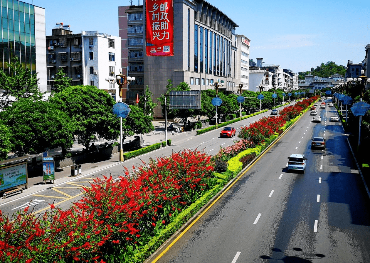 桂林市中山中路红艳似火的象牙红(央广网发 李腾钊 摄)桂林市中山中路