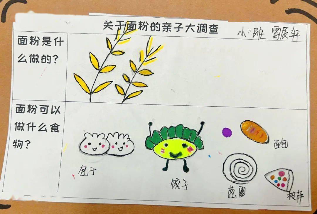 幼儿园面粉调查表图片