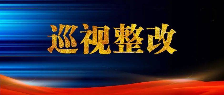 中央纪委国家监委督促中管高校强化巡视整改“一校一策”抓出实效_监督_问题_机构