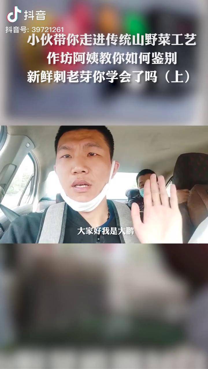 东北林区老阿姨教你如何鉴别新鲜刺老芽你学会了吗龙江夏日图鉴刺老芽