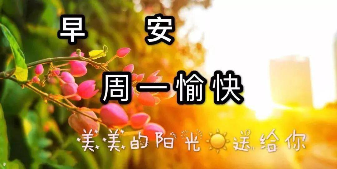 週一早上好祝福圖片,早上好祝福語句._夢甜甜_夏日清_問候