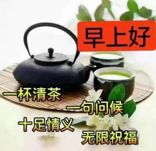 2022最新早上好表情包一杯清茶一句问候