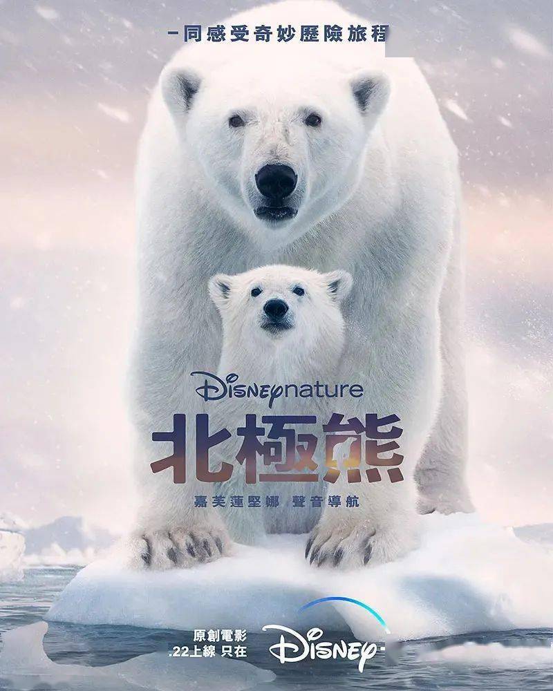 4.22美国【北极熊】讲述一只初为熊母的北极熊带孩子的故事_人类_纪录