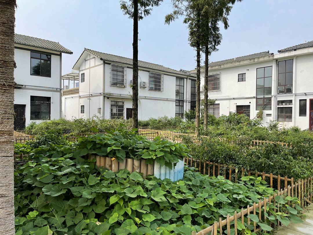 美丽乡村从"活起来"到"火起来"_龙马村_董林盘_发展