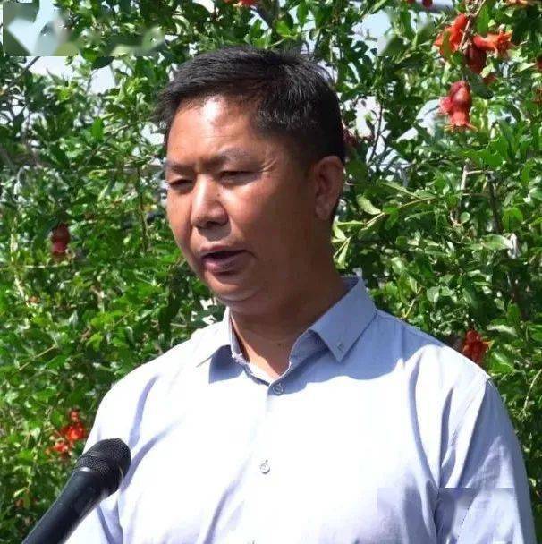 宾川县农民石榴研究协会会长 闫虎新的品种"天使红"有五大优点:第一